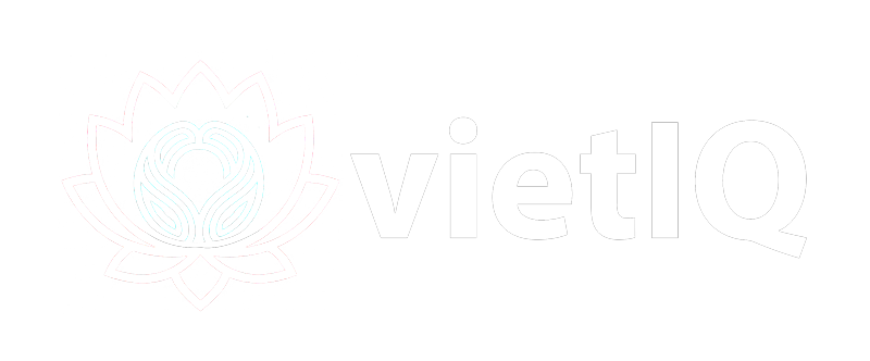 vietIQ